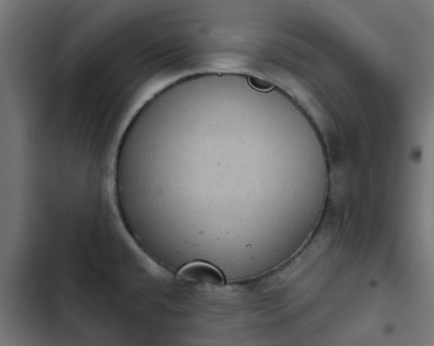 X0000103951432200809261738