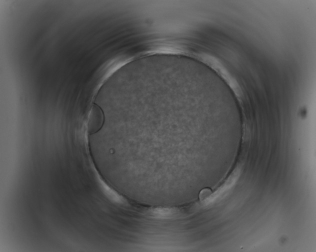 X0000103951433200809261738