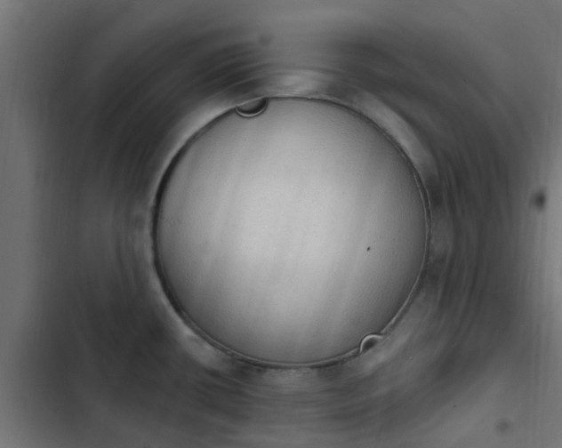 X0000103951434200809261738