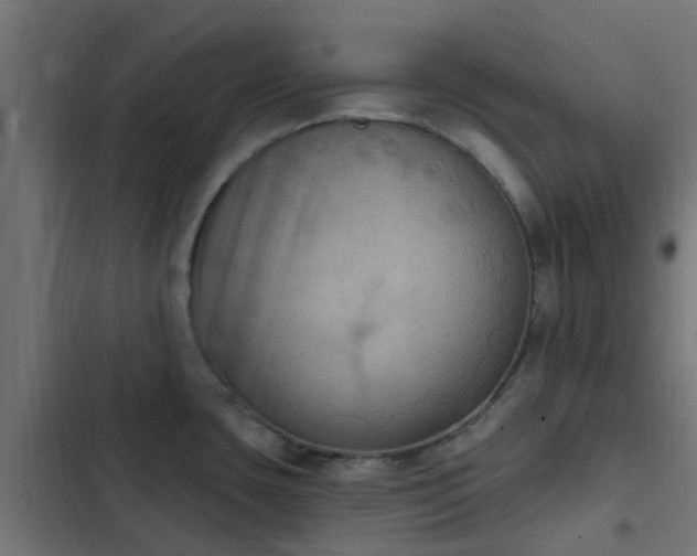 X0000103951435200809261738