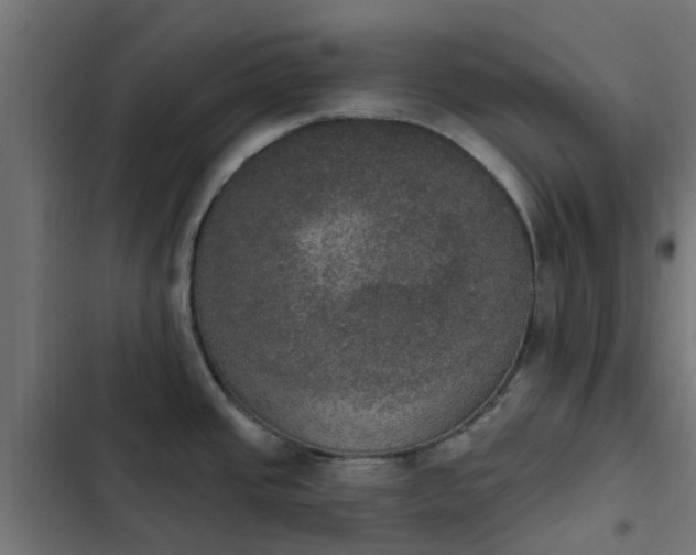 X0000103951437200809261738