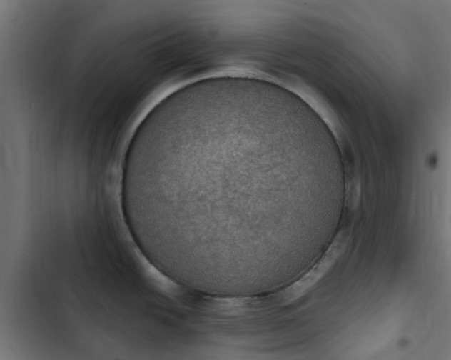 X0000103951438200809261738
