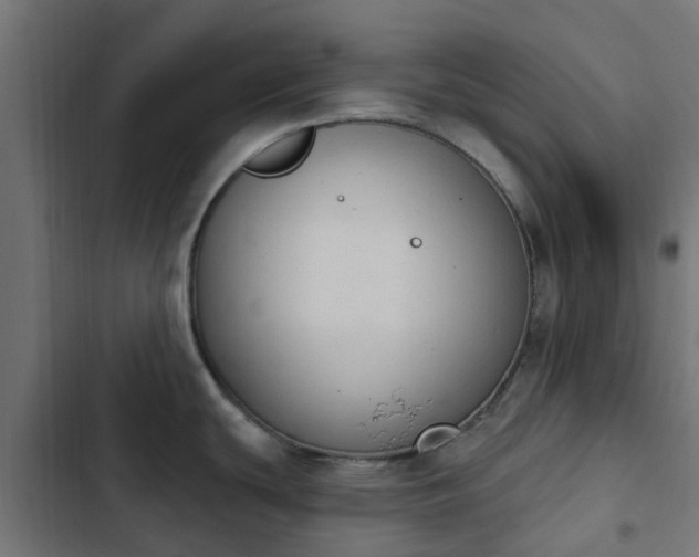 X0000103951439200809261738