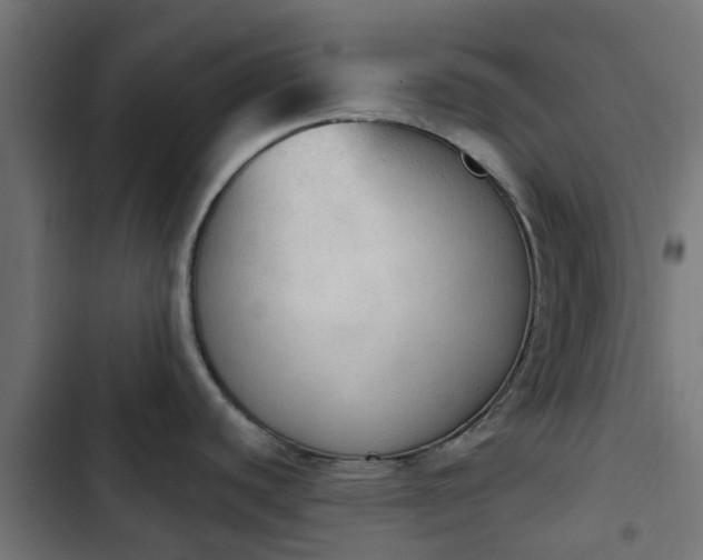 X0000103951440200809261738