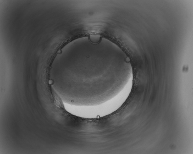 X0000103951441200809261737