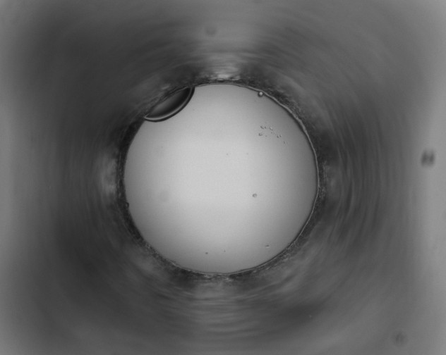X0000103951442200809261737