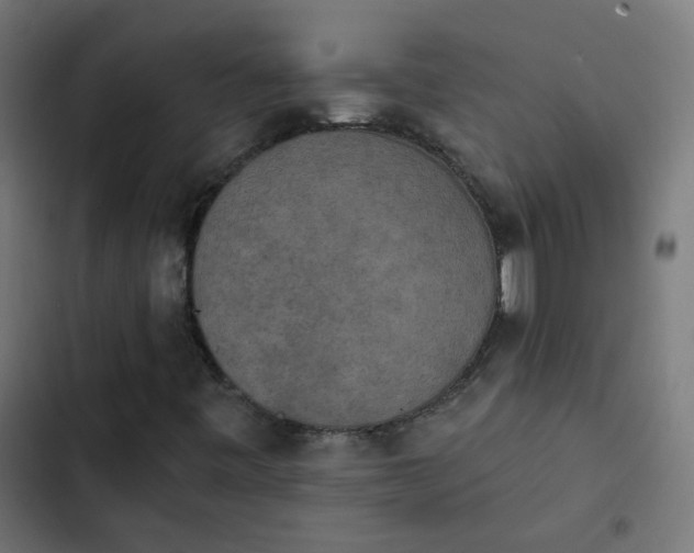 X0000103951443200809261737