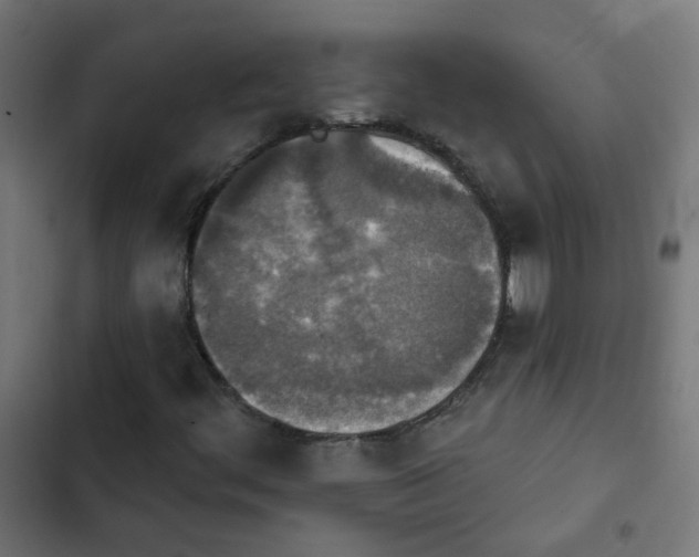 X0000103951444200809261737