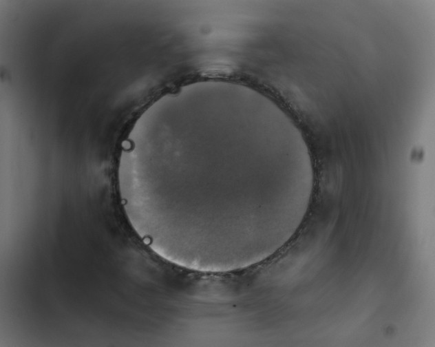 X0000103951445200809261737