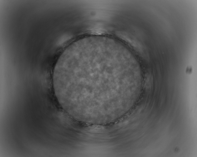 X0000103951446200809261737