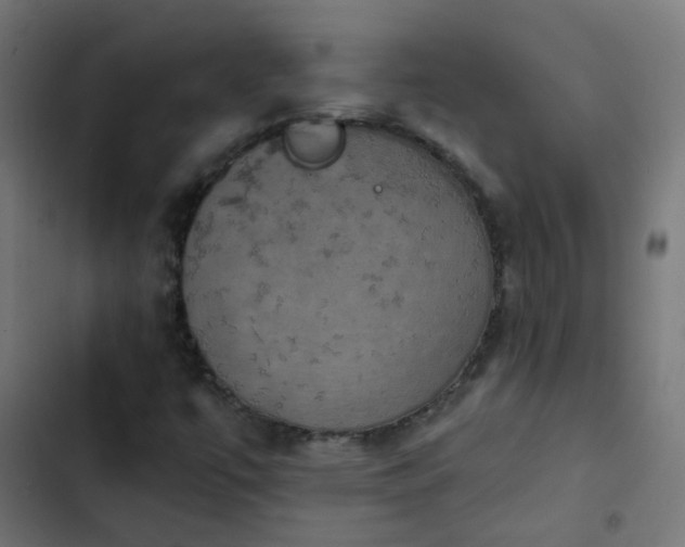 X0000103951447200809261737