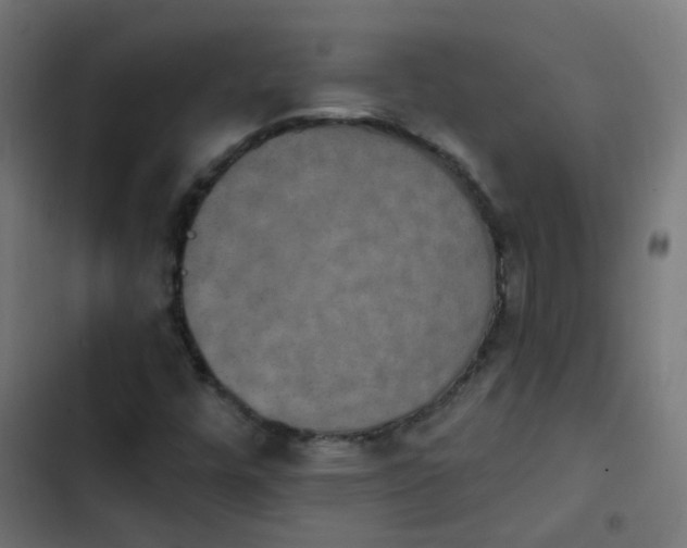 X0000103951448200809261737