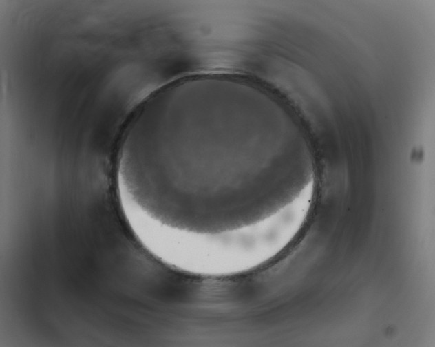 X0000103951449200809261737