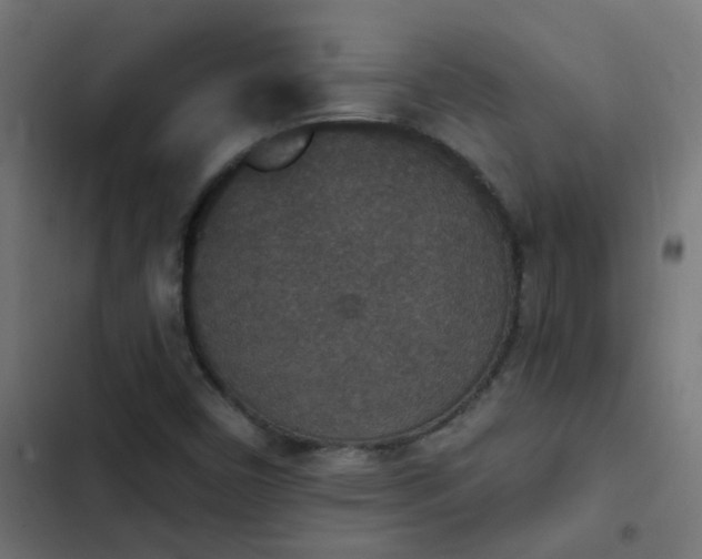 X0000103951450200809261737