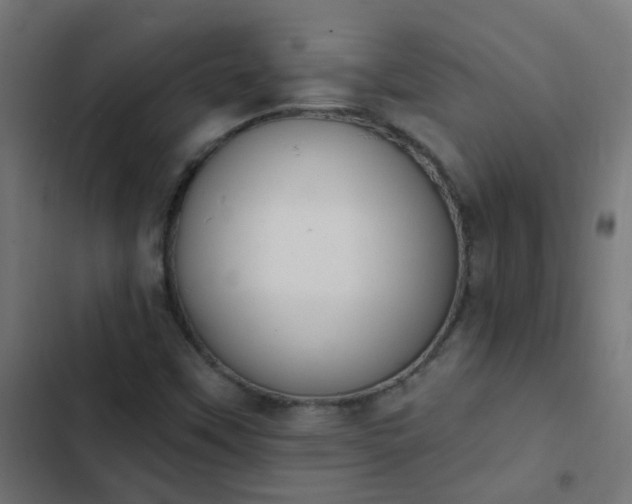 X0000103951451200809261737