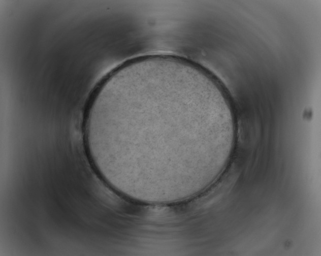 X0000103951452200809261737