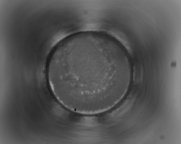X0000103951453200809261737