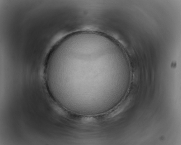X0000103951454200809261737
