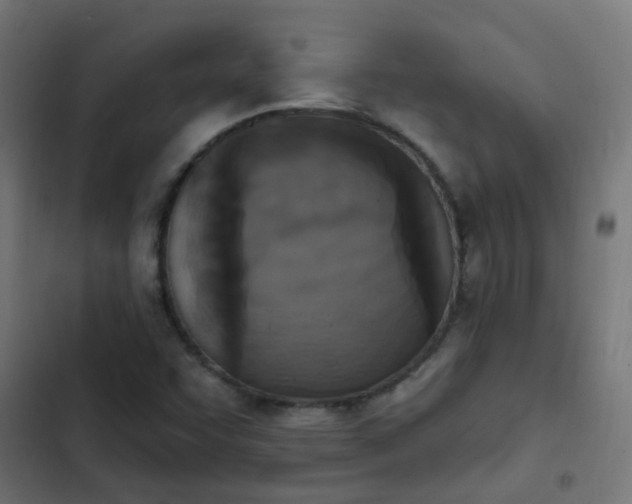 X0000103951455200809261737