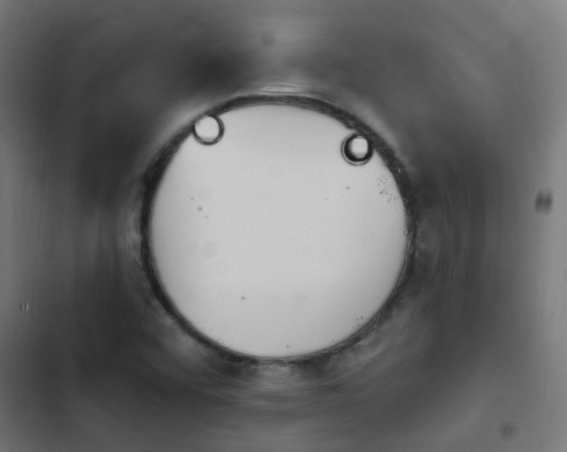X0000103951456200809261737