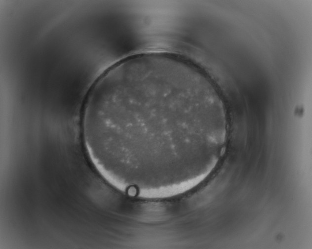 X0000103951457200809261737