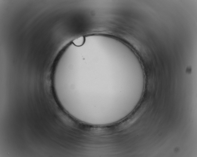 X0000103951458200809261737