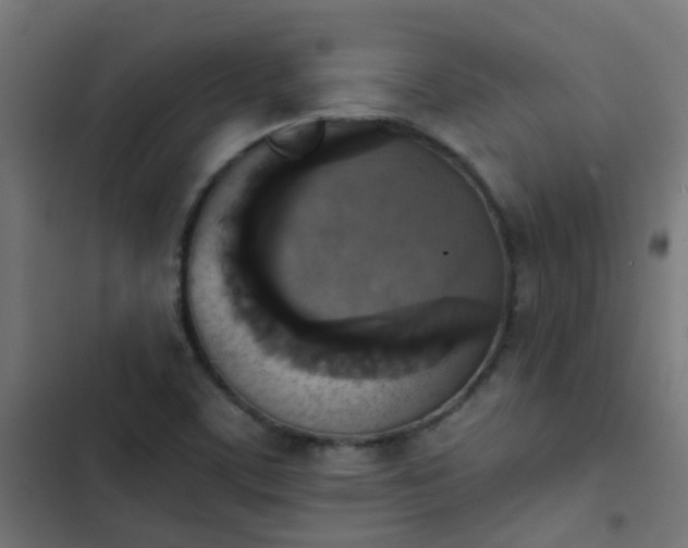 X0000103951459200809261737