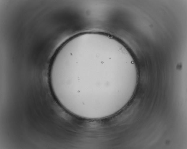 X0000103951460200809261737