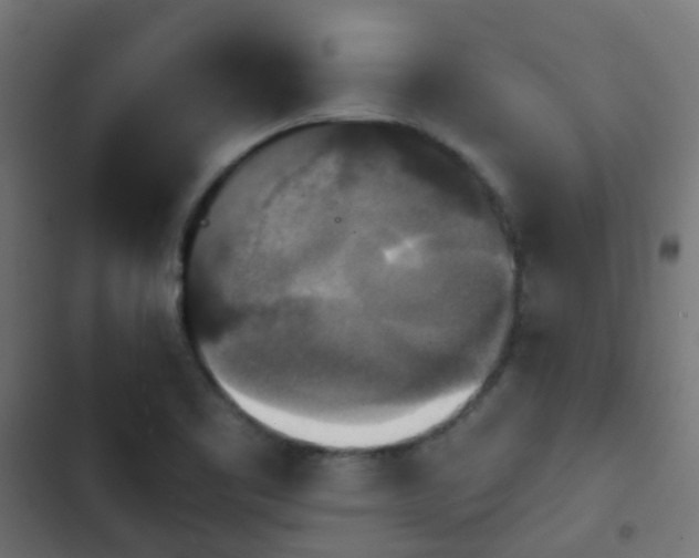 X0000103951461200809261737