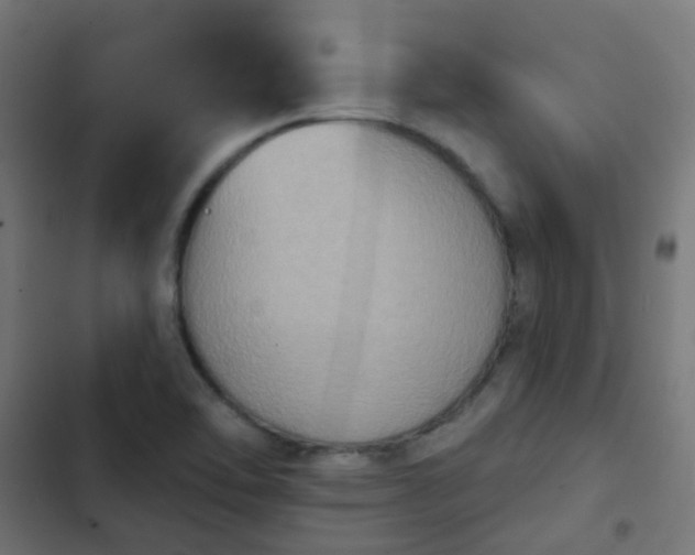 X0000103951462200809261737