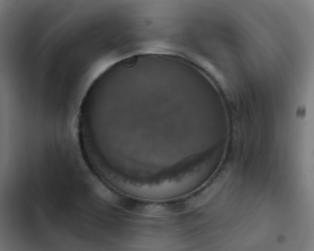 X0000103951463200809261737
