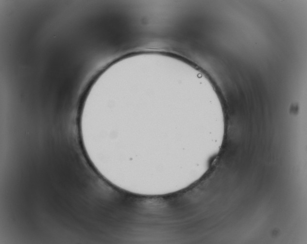 X0000103951464200809261737