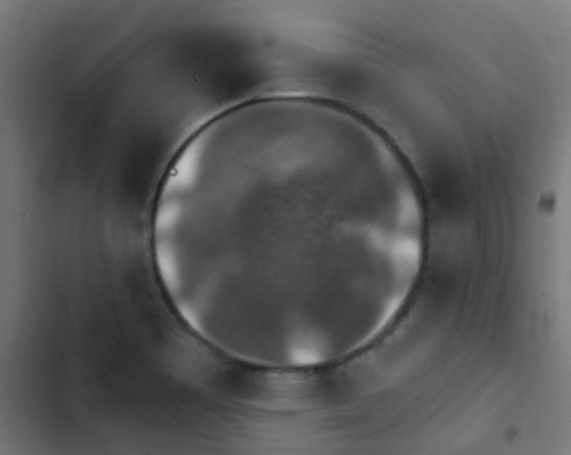 X0000103951465200809261737
