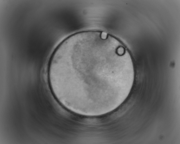 X0000103951468200809261737