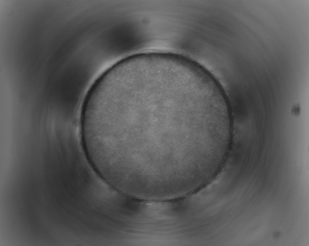 X0000103951469200809261737