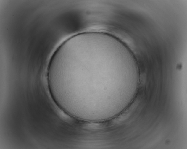 X0000103951470200809261737