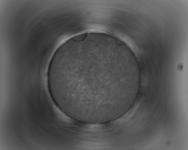 X0000103951471200809261737