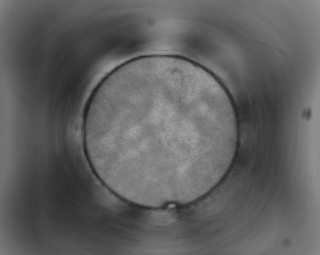 X0000103951472200809261737