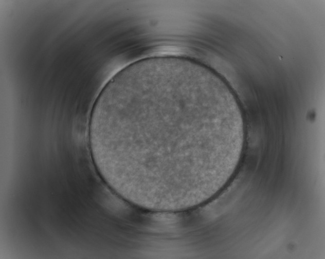 X0000103951473200809261737