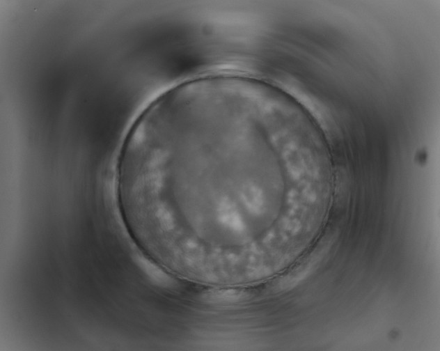 X0000103951474200809261737