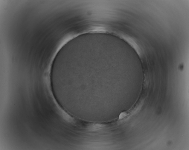 X0000103951475200809261737