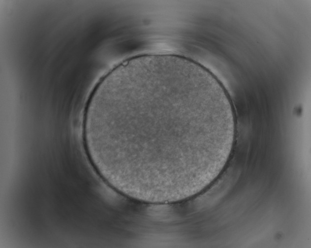 X0000103951477200809261737