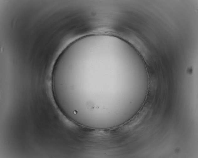 X0000103951478200809261737