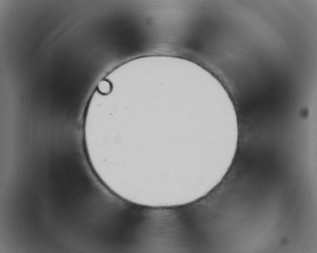 X0000103951479200809261737