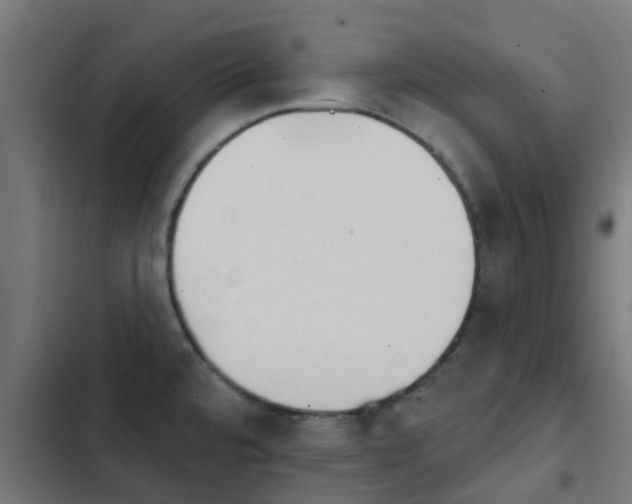 X0000103951480200809261737