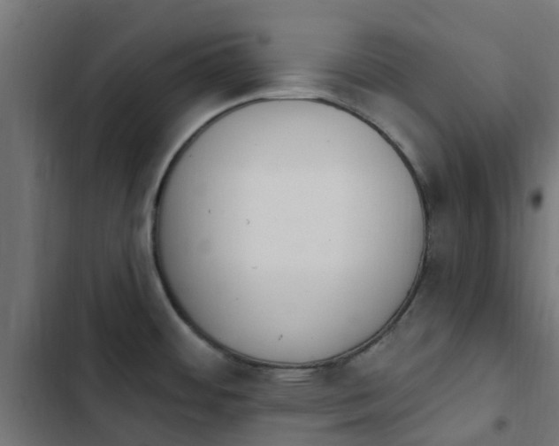 X0000103951484200809261737