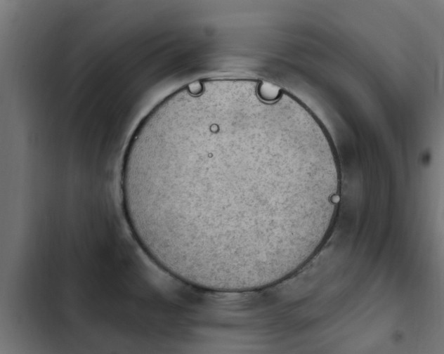 X0000103951485200809261737