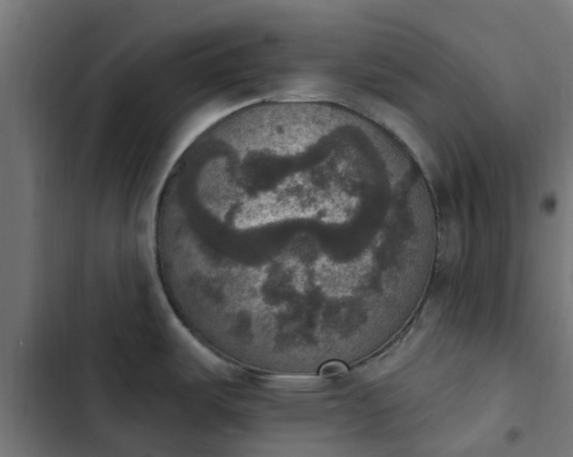 X0000103951487200809261736