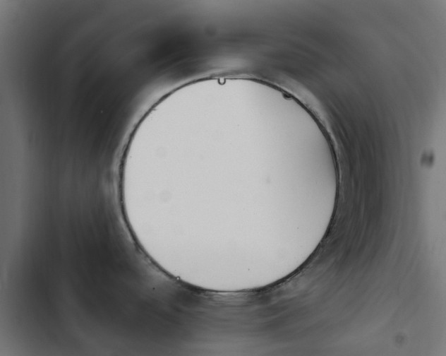 X0000103951488200809261736