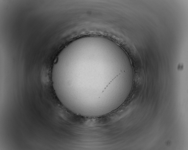 X0000103951490200809261736